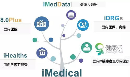 吹尽黄砂始见金 东华软件在数字医疗与数字文化创意中的王者之路